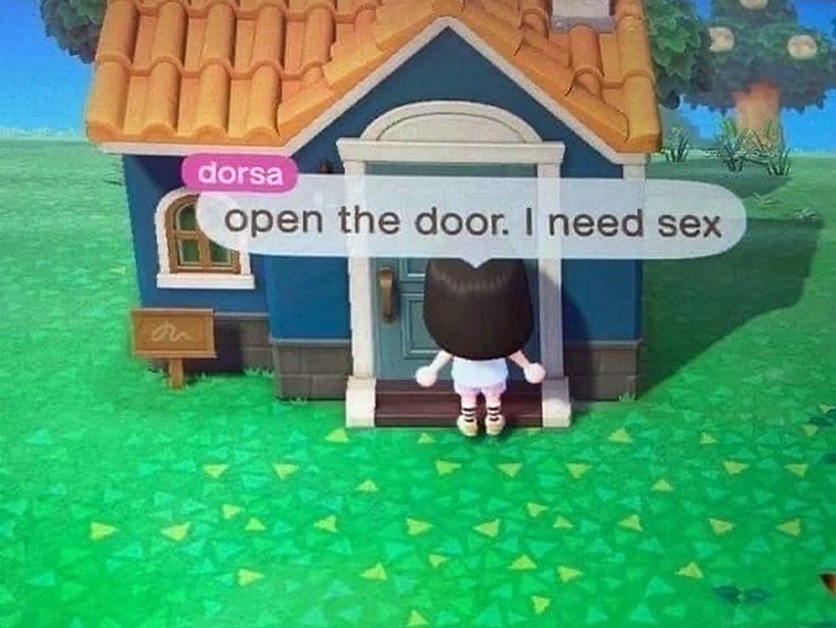 Open the door. I need sex Персонаж Animal Crossing стоит перед домом и просит открыть дверь, говоря: "open the door. I need sex"