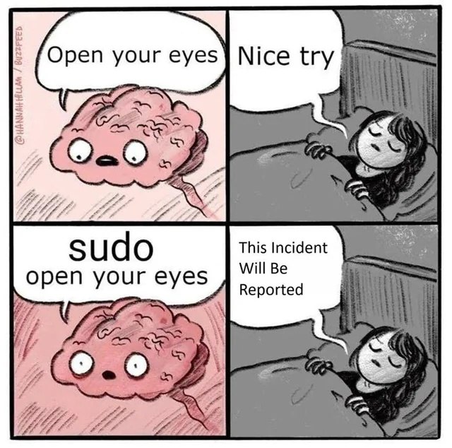 Open your eyes sudo Мозг пытается заставить спящую девушку проснуться, используя команду sudo Open your eyes