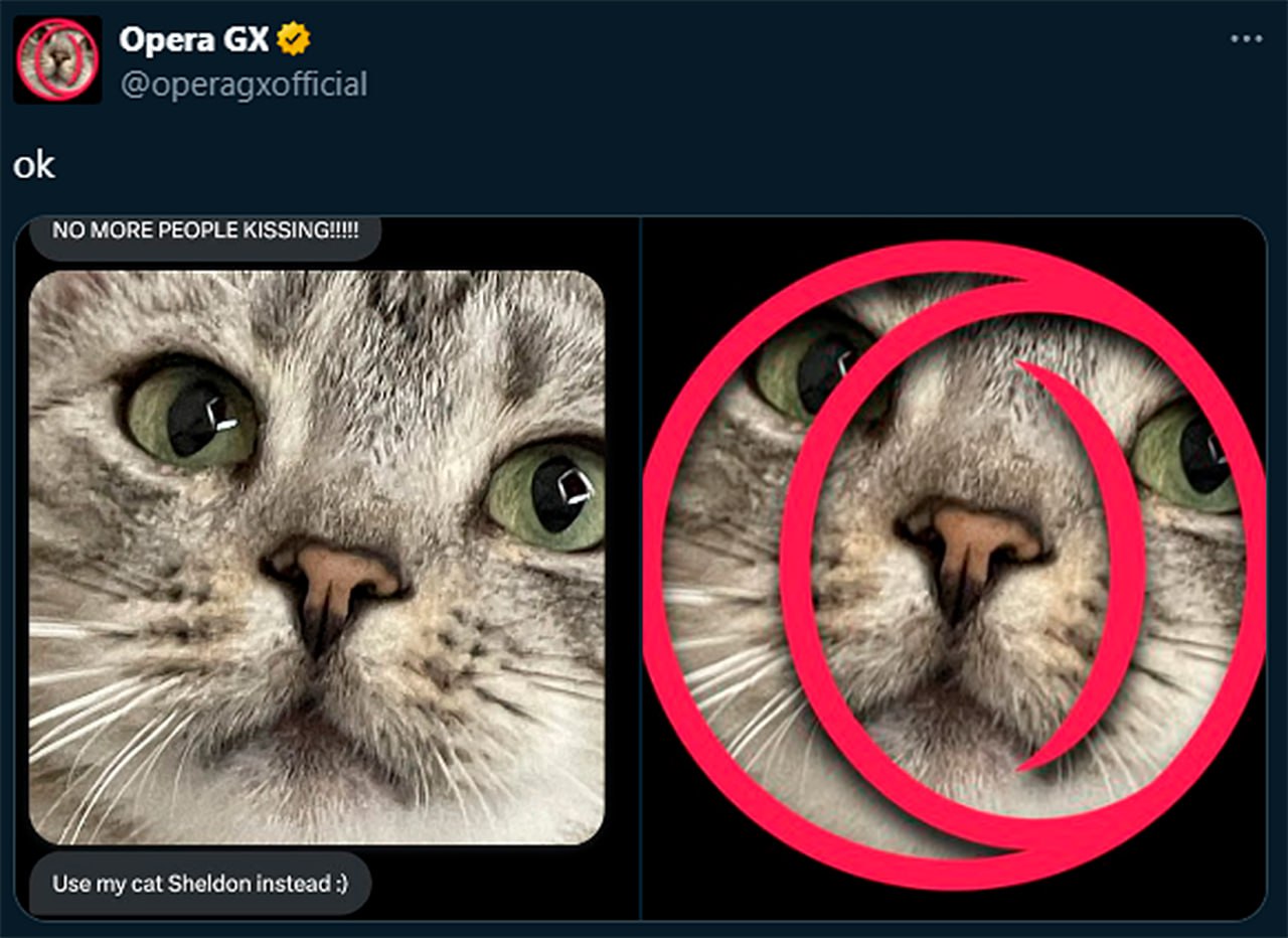 Кот Шелдон от Opera GX Мем с котом Шелдоном от Opera GX