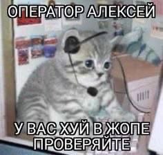 Оператор Алексей, у вас хуй в жопе, проверяйте Мем с оператором Алексеем, который сообщает, что у вас хуй в жопе, проверяйте.