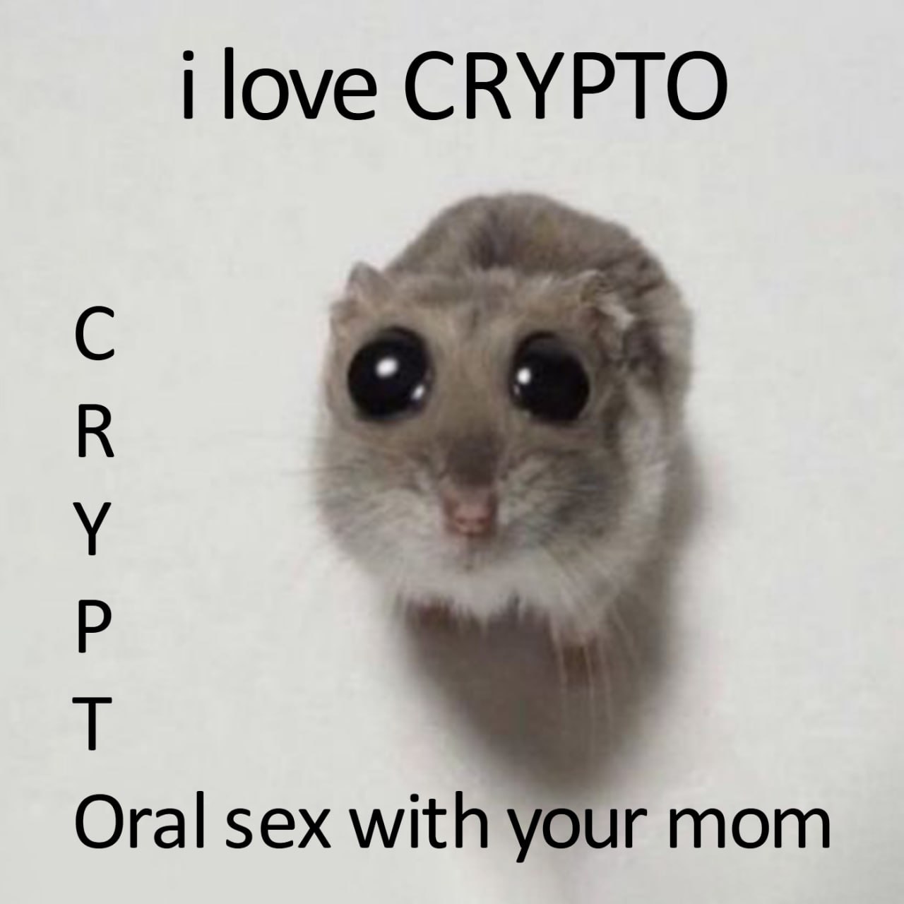 Oral sex with your mom хомяк Мем с хомяком и надписью Oral sex with your mom