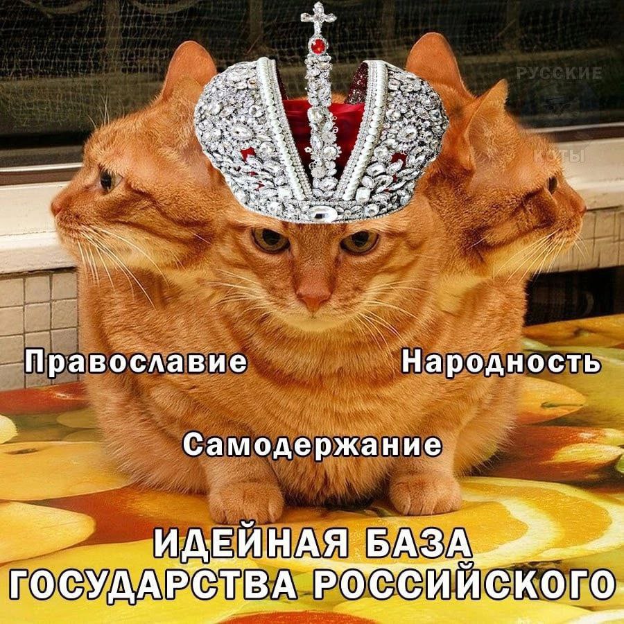 Православие народность самодержавие кот Кот Православие, народность, самодержавие