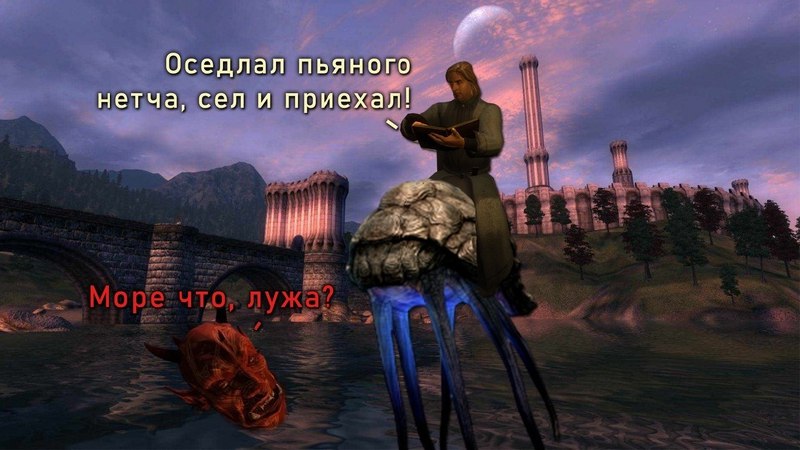 Оседлал пьяного нетча, сел и приехал Мем, где персонаж из игры The Elder Scrolls III: Morrowind оседлал пьяного нетча, а даэдра в воде спрашивает: "Море что, лужа?"