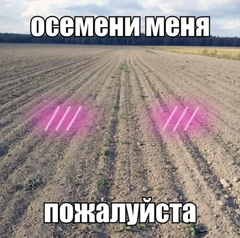 Пустое поле с надписью «Осемени меня, пожалуйста» и розовыми светящимися пятнами на земле