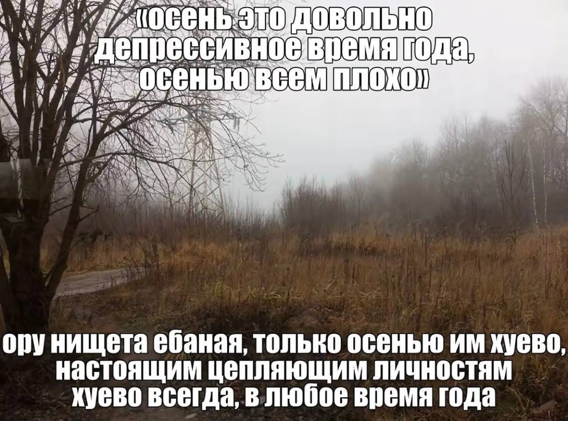 Мрачный осенний пейзаж с надписью о том, что осенью всем плохо, а настоящим депрессивным личностям плохо в любое время года.