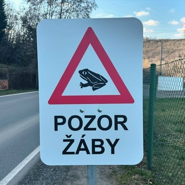 Дорожный знак с лягушкой и надписью «Pozor žáby», означающей «Осторожно, лягушки».