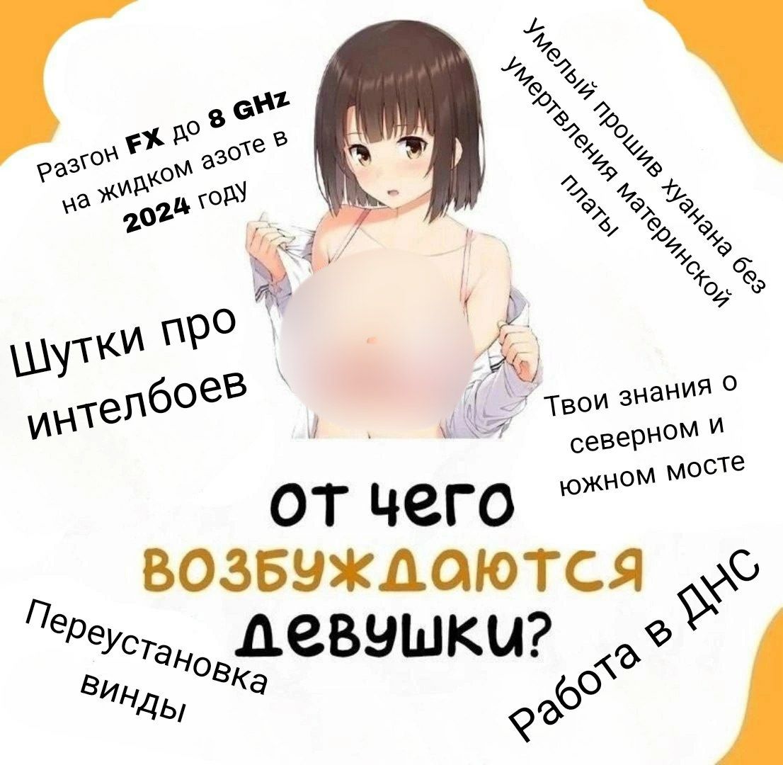 От чего возбуждаются девушки Мем с аниме-девушкой и вопросом "От чего возбуждаются девушки?" с вариантами ответов про компьютерные темы: разгон FX, прошивка хухана, знания о северном и южном мосте, шутки про интелбоев, переустановка винды и работа в ДНС.
