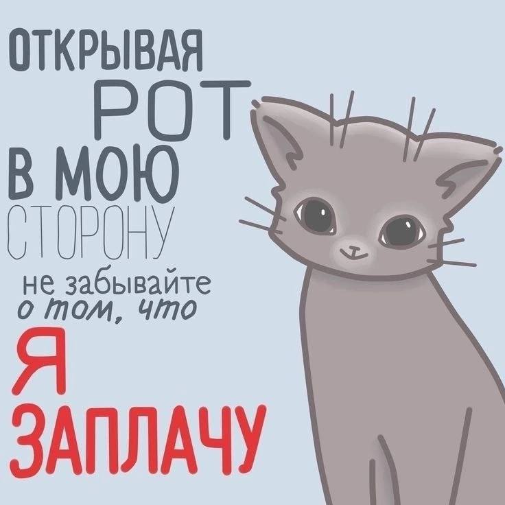 Открывая рот в мою сторону я заплачу Мем с котом, который говорит, что заплачет, если на него будут открывать рот.