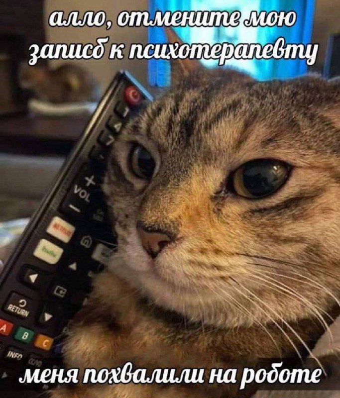 Отмените мой прием к психотерапевту Кот держит пульт от телевизора как телефон и звонит отменить запись к психотерапевту, потому что его похвалили на работе