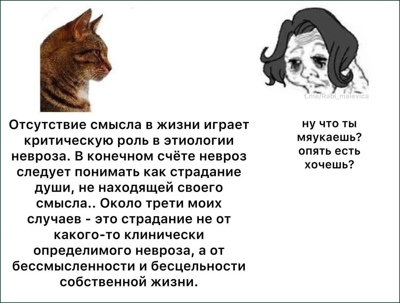 Кот рассуждает об отсутствии смысла в жизни, а ему предлагают просто поесть