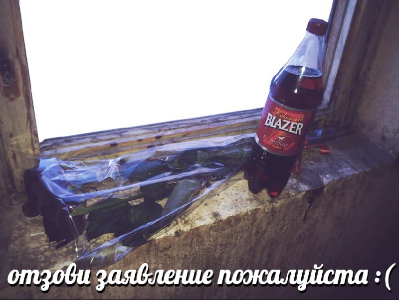 Отзови заявление пожалуйста Отзови заявление пожалуйста грустный мем с напитком Blazer и розами на окне
