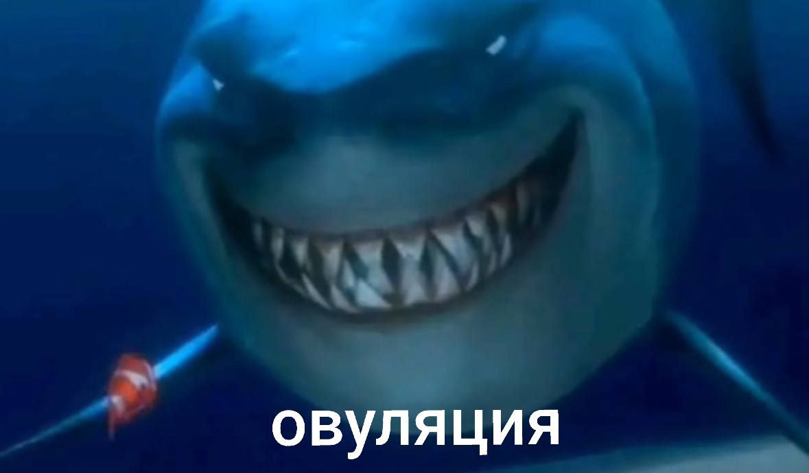 Овуляция и акула Огромная акула с широко раскрытой пастью и маленькая рыбка на фоне глубокого синего океана