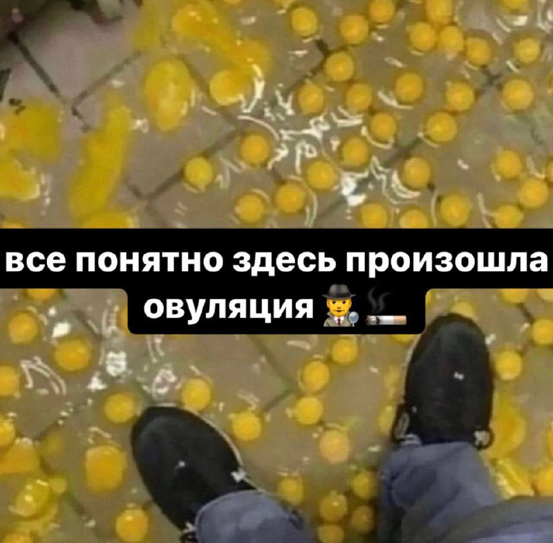 Овуляция из яиц Разбитые желтки на полу и надпись "Все понятно, здесь произошла овуляция".