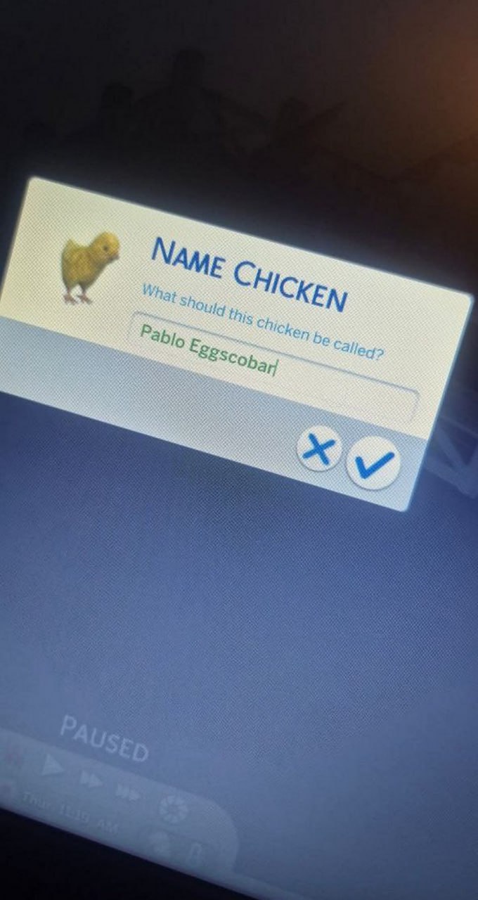 Пабло Эггскобар в The Sims 4 Пользователь решил назвать цыпленка в игре The Sims 4 «Пабло Эггскобар», сочетая имя известного наркобарона Пабло Эскобара и английское слово «egg» (яйцо).