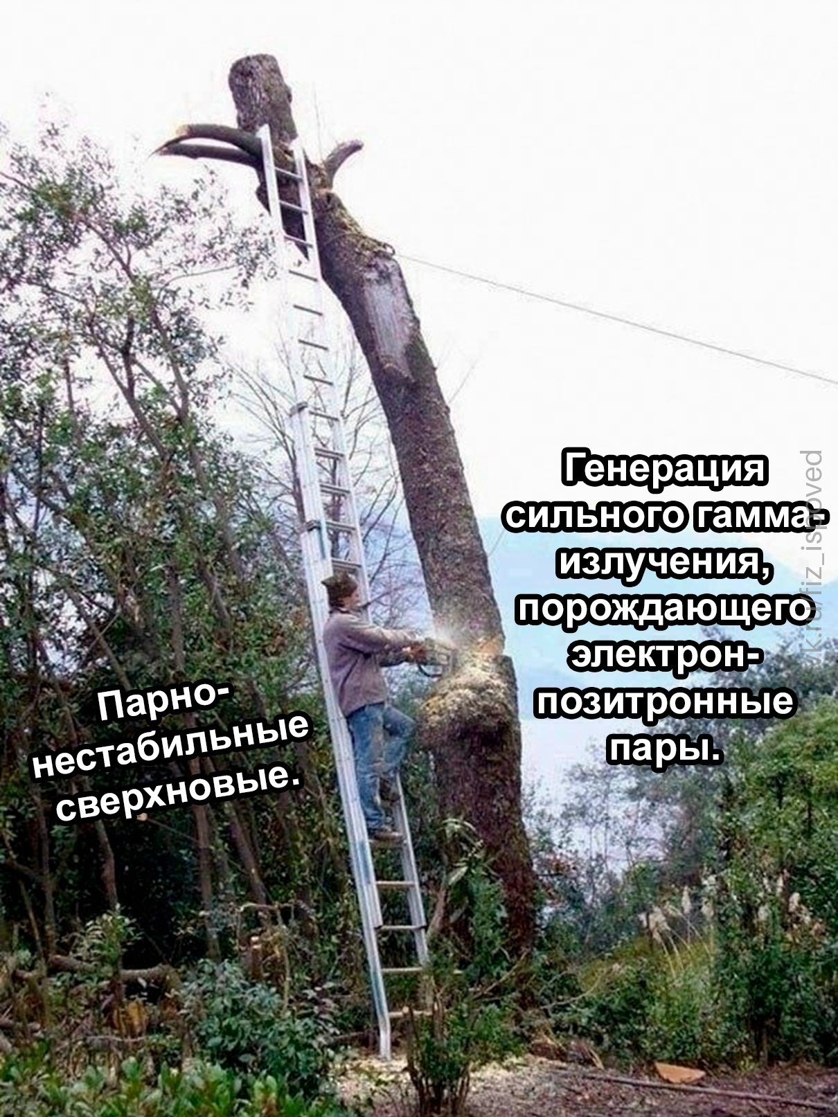 Человек спиливает дерево как иллюстрация парно-нестабильных сверхновых и генерации гамма-излучения, порождающего электрон-позитронные пары.