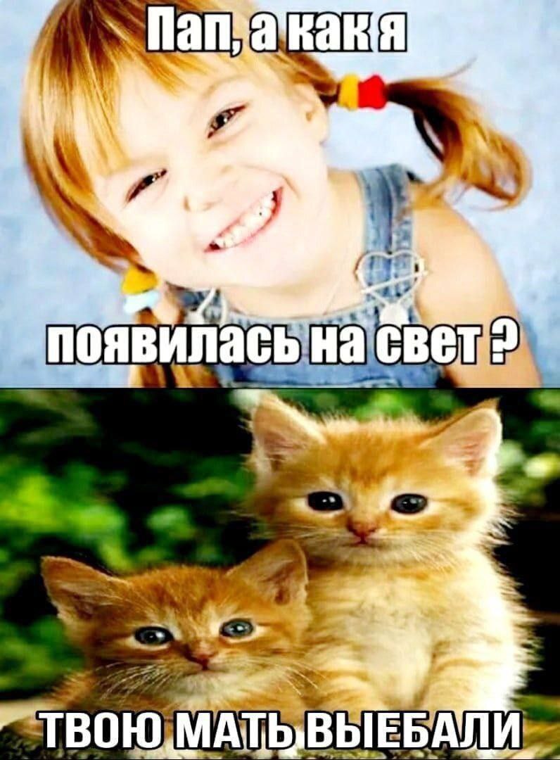Пап, а как я появилась на свет Мем с девочкой и котятами про то, как появился на свет