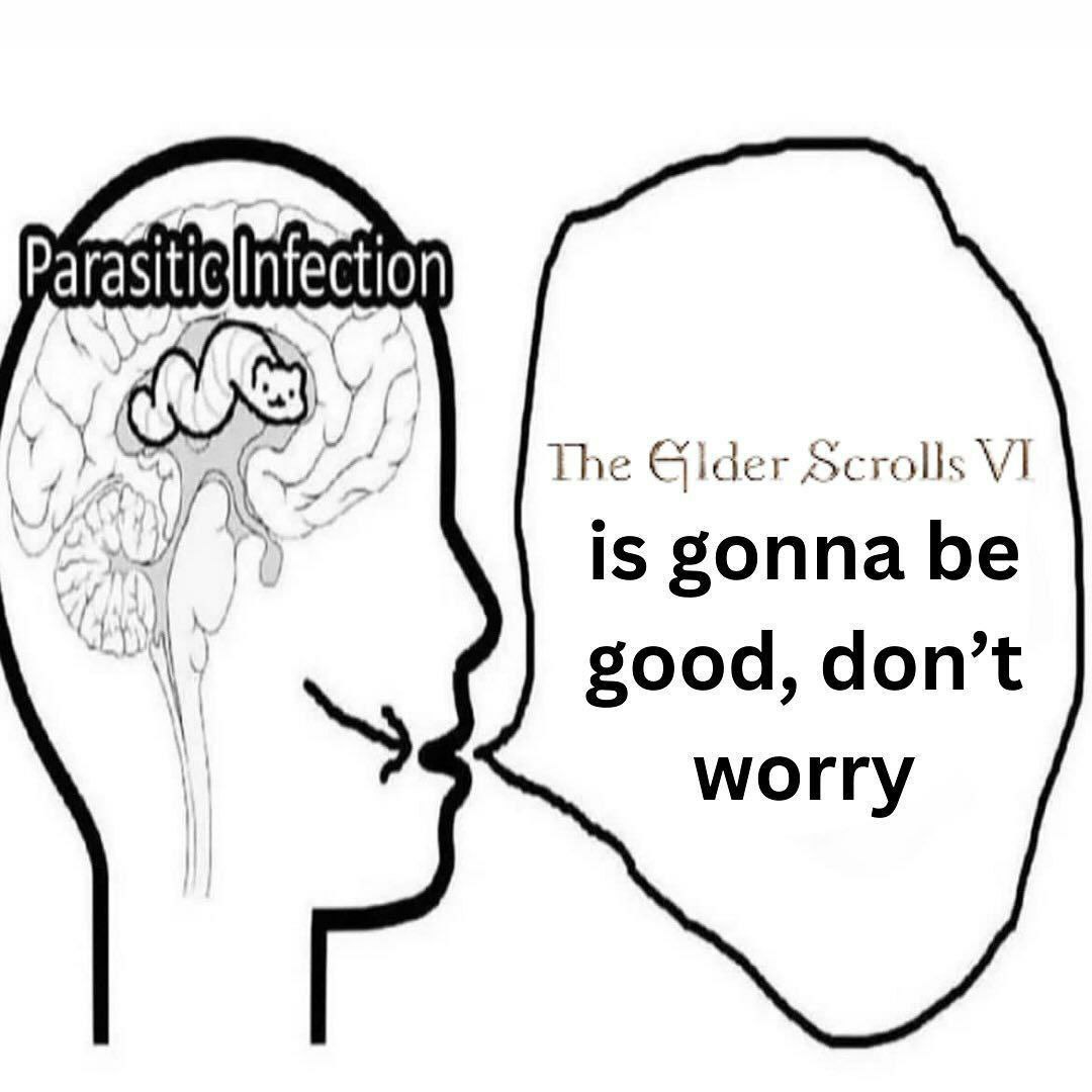 Parasitic Infection The Elder Scrolls VI Мем про паразитическую инфекцию и The Elder Scrolls VI