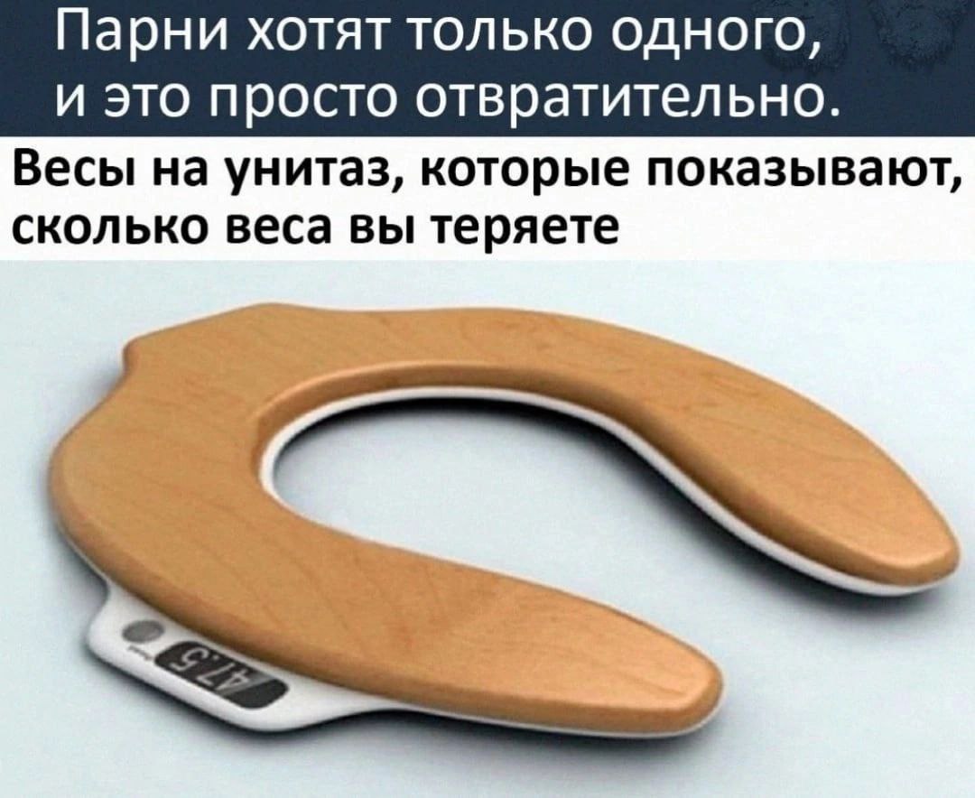 Парни хотят только одного Мем с изображением сиденья для унитаза со встроенными весами, подписанный «Парни хотят только одного».