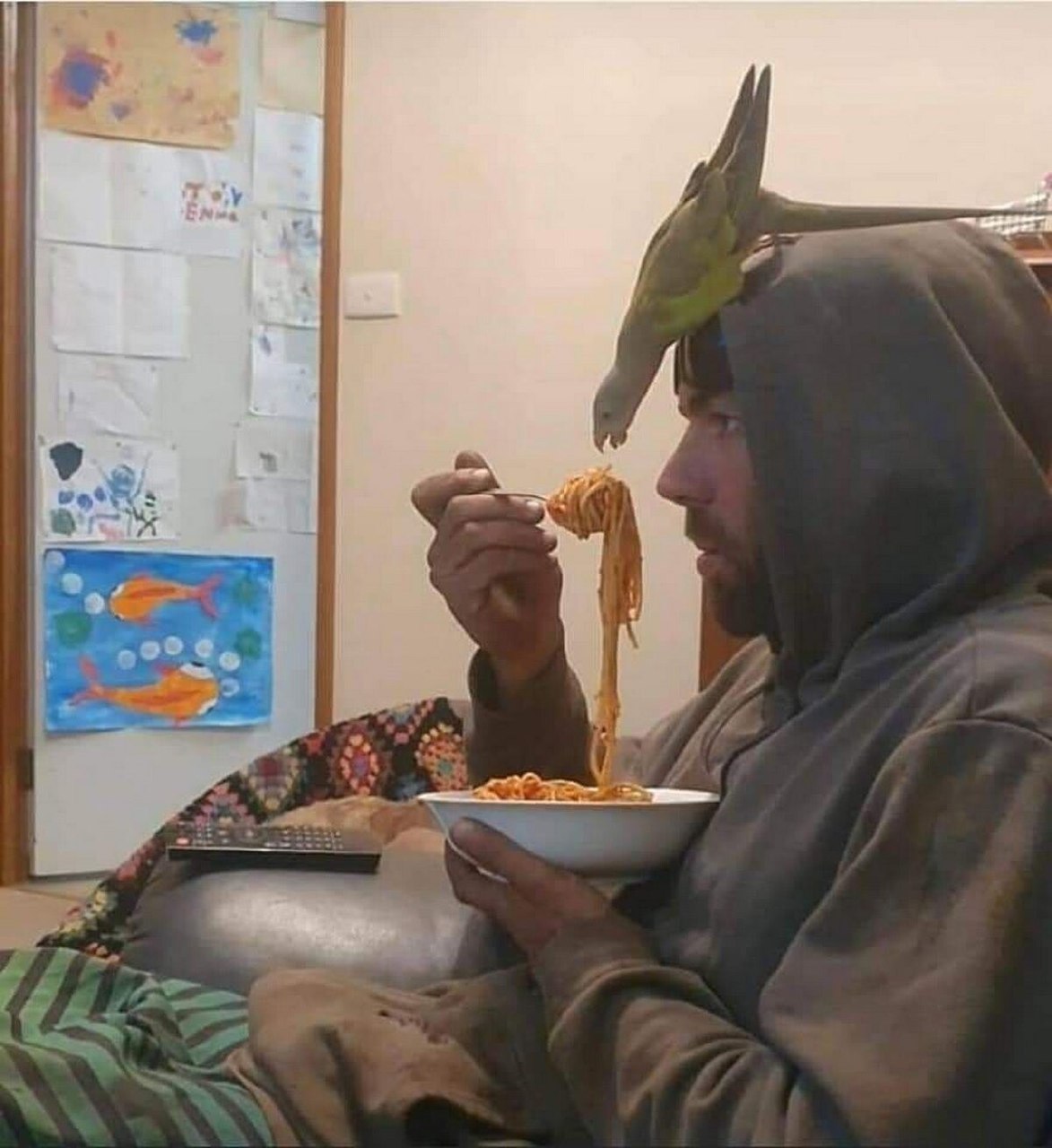 Попугай ест спагетти с головы Мужчина в серой толстовке сидит с тарелкой спагетти, а попугай на его капюшоне клюет еду с вилки