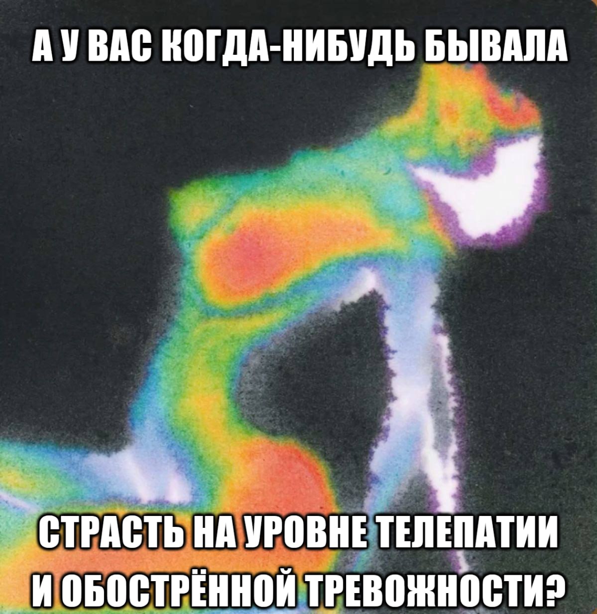 А у вас когда-нибудь бывала страсть на уровне телепатии и обострённой тревожности? Страсть на уровне телепатии и обостренной тревожности