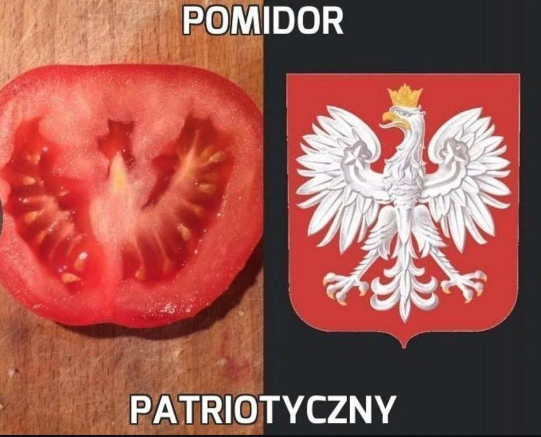 Патриотичный помидор Мем про патриотичный помидор, разрезанный пополам, рядом с гербом Польши