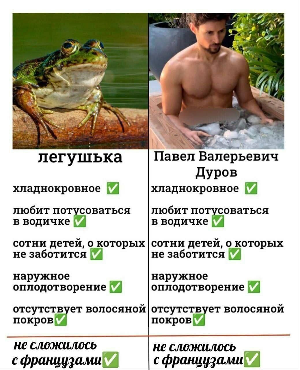 Павел Дуров и лягушка: сравнение Сравнение Павла Дурова и лягушки по разным параметрам