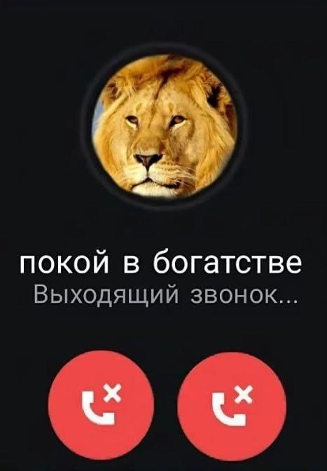 Покой в богатстве Мем про звонок контакту "Покой в богатстве" со львом на аватарке