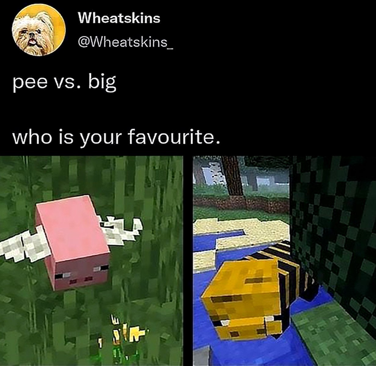 Pee vs big minecraft Мем с маленьким летающим поросенком и большой пчелой из Майнкрафт