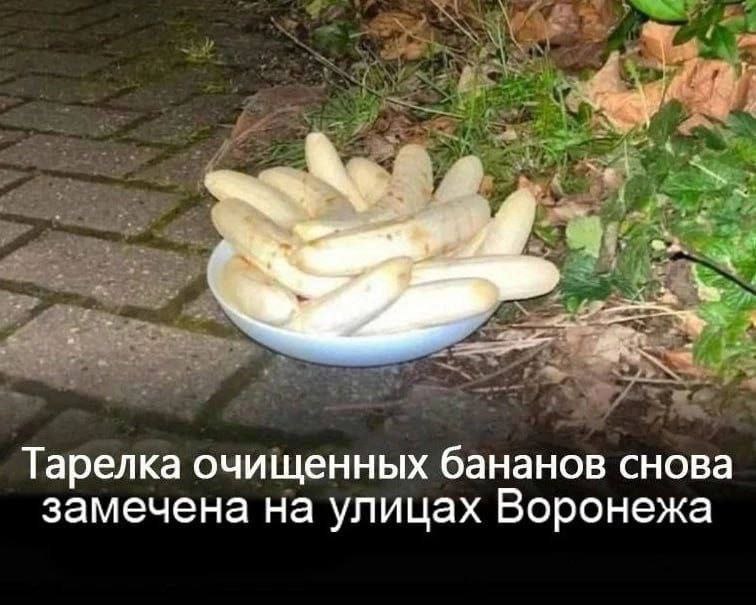 Тарелка очищенных бананов снова замечена на улицах Воронежа Тарелка очищенных бананов на улице Воронежа