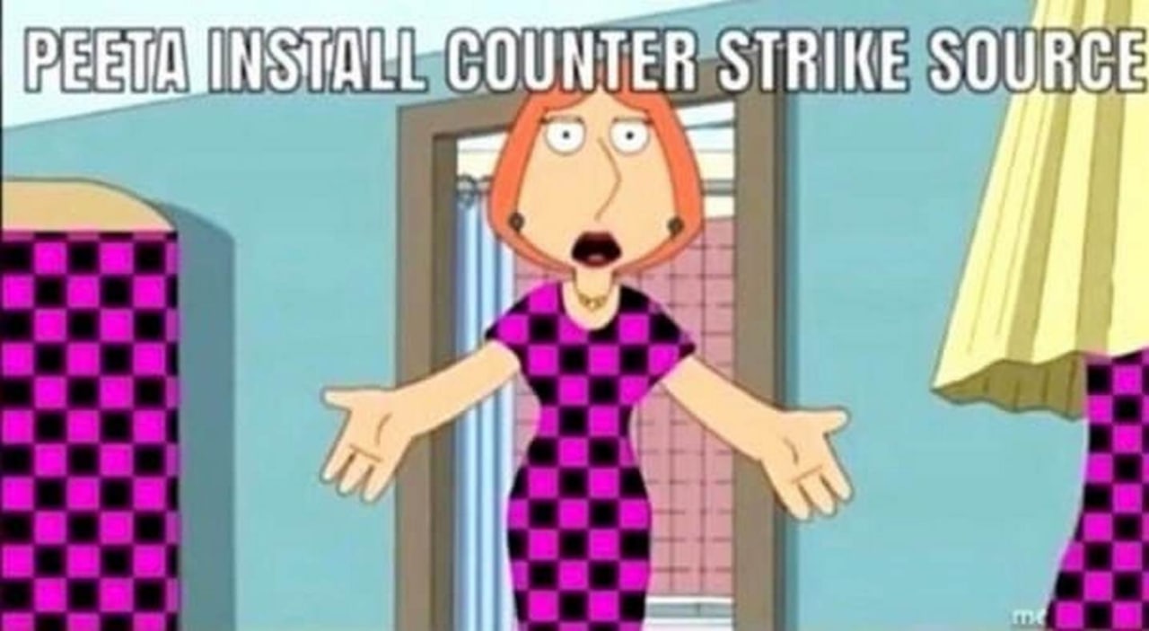 Peeta install Counter Strike Source Мем с Лоис Гриффин, требующей Питера установить Counter Strike Source, из сериала "Гриффины".