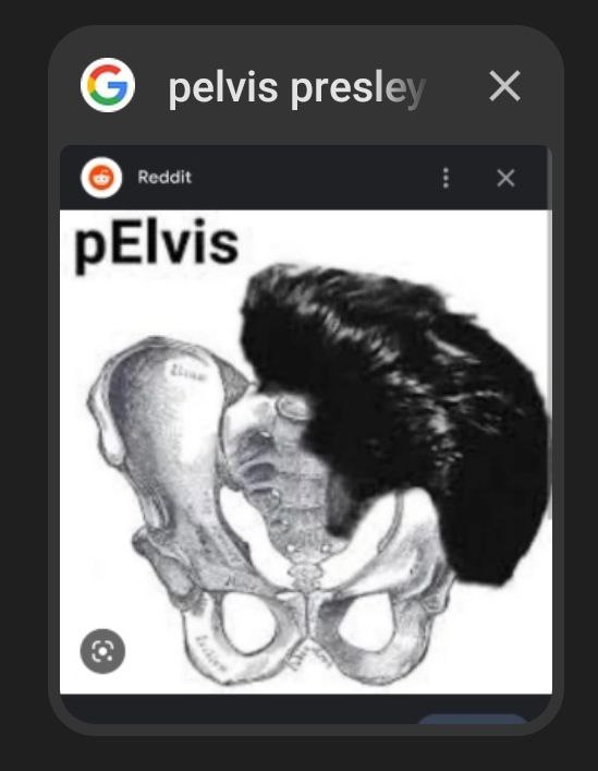 Pelvis presley Мем с тазом и прической Элвиса Пресли, результат поиска Google