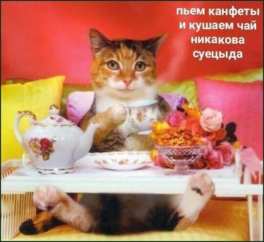 Кот за столом пьет чай и «ест конфеты», рядом стоит сервиз и сладости, а сверху написано: «Пьем канфеты и кушаем чай никакова суецыда»