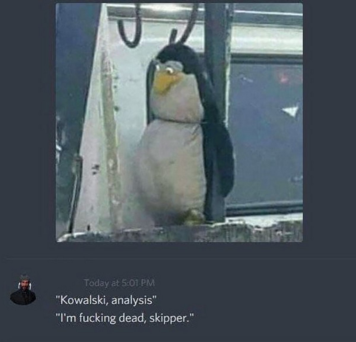 Пингвин "Kowalski, analysis" Пингвин из мема "Kowalski, analysis" и ответ "I'm fucking dead, skipper" в Discord