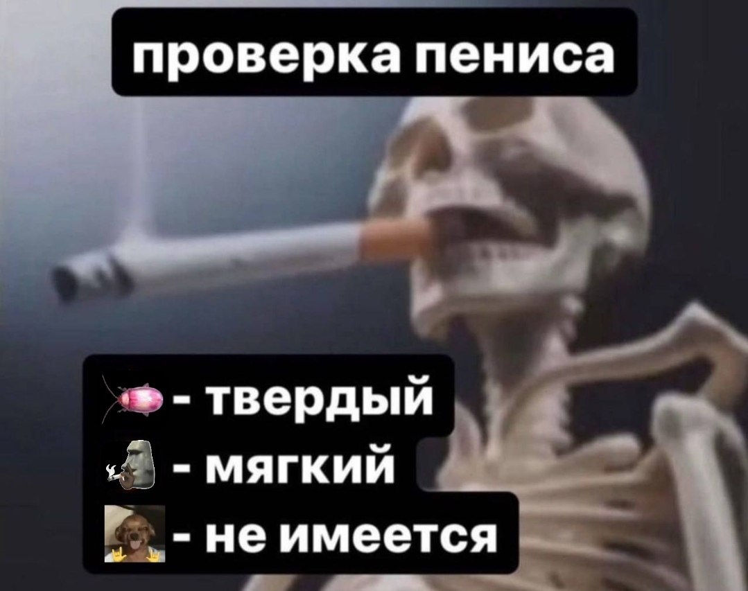 Шуточная проверка пениса с вариантами «твердый», «мягкий» и «не имеется» на фоне рентгеновского скелета.