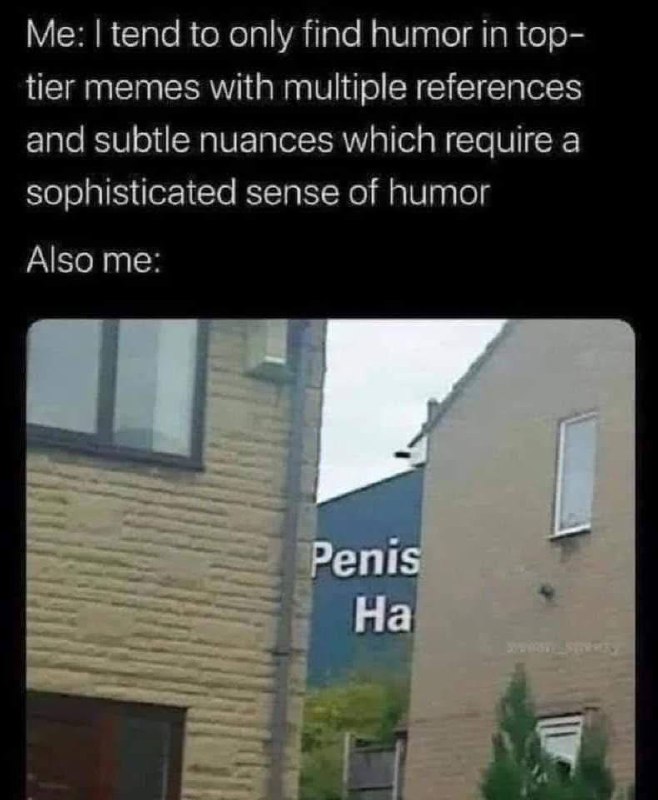 Penis Ha Мем про здание с надписью Penis Ha