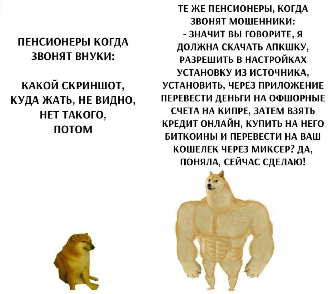 Пенсионеры когда звонят внуки и мошенники Мем про то, как пенсионеры по-разному реагируют на звонки внуков и мошенников.