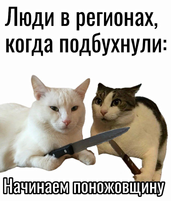 Люди в регионах когда подбухнули Мем про людей в регионах, которые подбухнули и начинают поножовщину, с двумя котами и ножами.