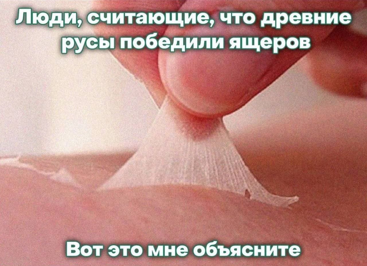 Люди, считающие, что древние русы победили ящеров Мем с шелушащейся кожей и надписью "Люди, считающие, что древние русы победили ящеров. Вот это мне объясните"
