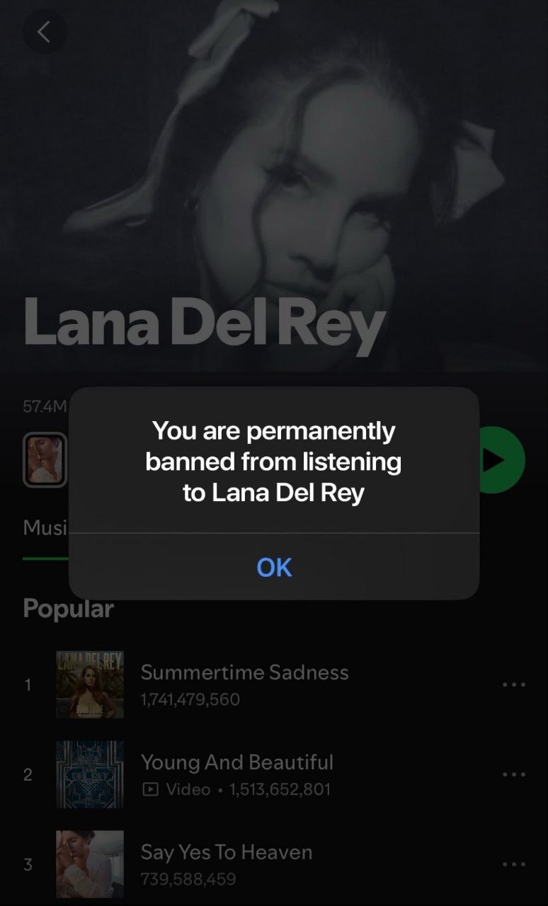 Вам навсегда запрещено слушать Лану Дель Рей Скриншот Spotify с сообщением: «Вам навсегда запрещено слушать Лану Дель Рей»