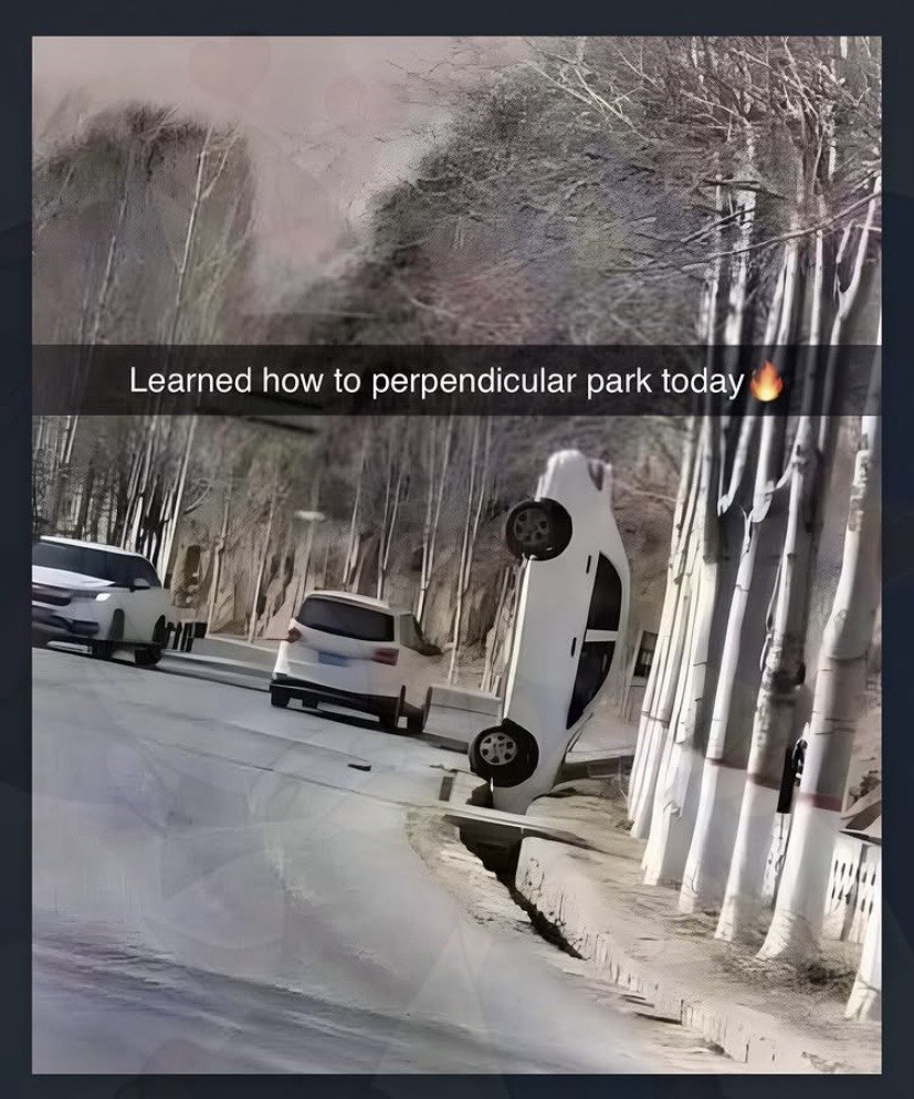 Белая машина стоит почти вертикально у обочины, с подписью «Learned how to perpendicular park today 🔥»