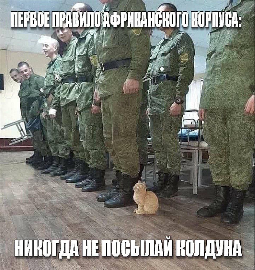 Солдаты в зеленой форме стоят в ряд, а у их ног сидит маленький рыжий котенок; сверху и снизу шутка про первое правило африканского корпуса и фразу «никогда не посылай колдуна».
