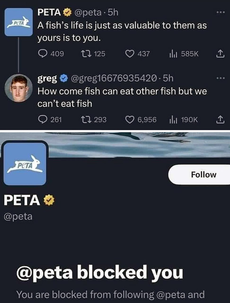 PETA blocked you PETA заблокировала пользователя, спросившего, почему рыба может есть рыбу, а люди — нет