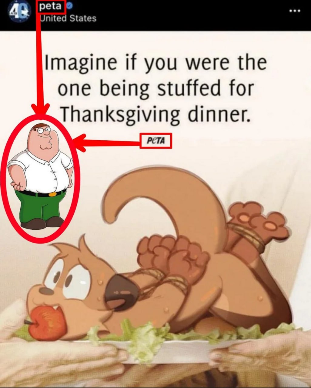Imagine if you were the one being stuffed for Thanksgiving dinner Представьте, если бы это вы были тем, кого фаршируют на ужин в День Благодарения, от PETA