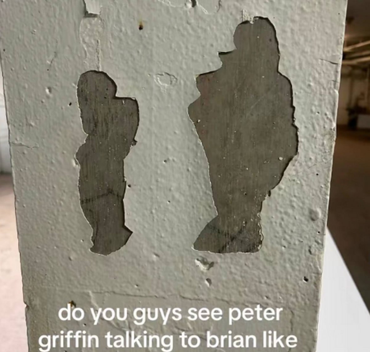 Peter Griffin talking to Brian like Отслоившаяся краска на стене, напоминающая Питера Гриффина и Брайана из "Гриффинов", которые разговаривают друг с другом.
