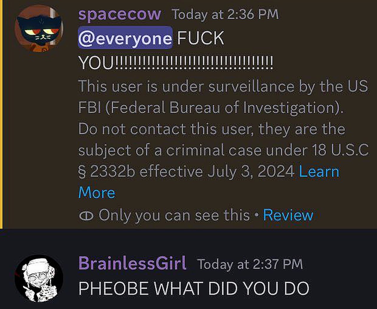Фиби что ты натворила Мем с сообщением от ФБР в Discord и вопросом «Фиби, что ты натворила»