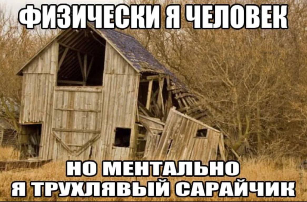 Покосившийся старый сарай с надписью: «Физически я человек, но ментально я трухлявый сарайчик».