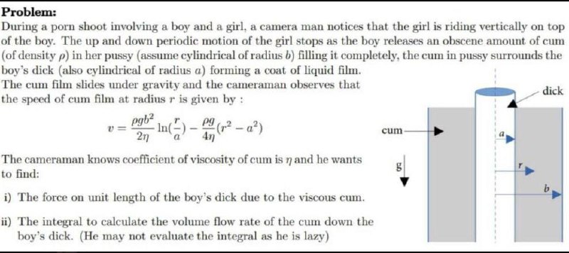Problem about cum flow Мем, где дана «физическая задача» о движении спермы с формулами и диаграммой