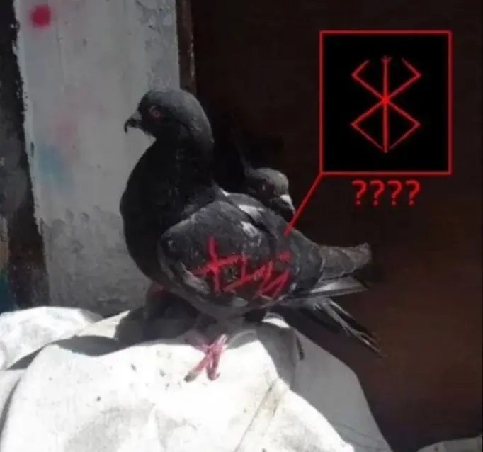 Чёрный голубь с красной загадочной руной и непонятным символом рядом