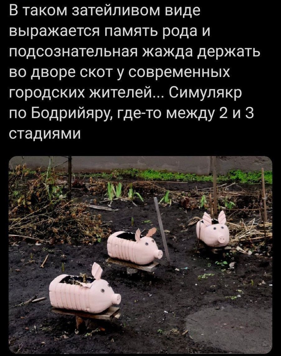 Свиньи из бутылок в огороде Свиньи из пластиковых бутылок как декор для сада