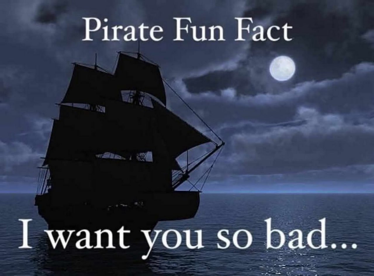 Интересный факт о пиратах Мем с надписью "Pirate Fun Fact" и "I want you so bad..." на фоне ночного моря с пиратским кораблем и полной луной.